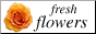 Fresh Flowers from bof