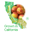 Click for California  Harvest Catalogs