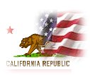 USA and California Flags