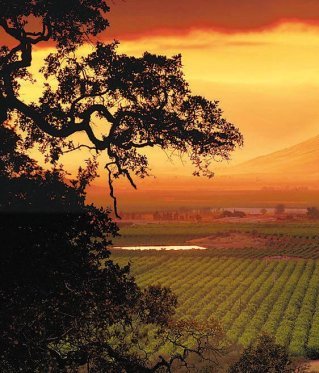 Califironia Central Valley Vista View
