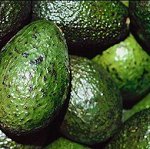 Avocados