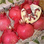 Pomegranate