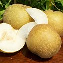 FRESH CALIFORNIA ASIAN PEARS