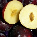 FRESH CALIFORNIA RED PLUMS