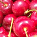 FRESH CALIFORNIA CHERRIES