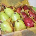Fresh California Anjou Pears