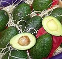 AVOCADOS