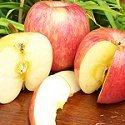Fresh California Apples