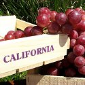 FRESH CALIFORNIA RED SEEDLESS GRAPES