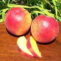 FRESH CALIFORNIA CLASSIC YELLOW PEACHES